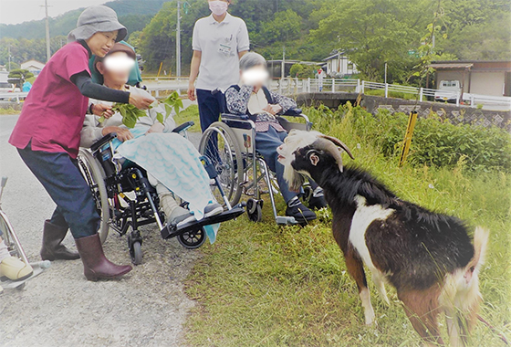 老人保健施設 信愛苑