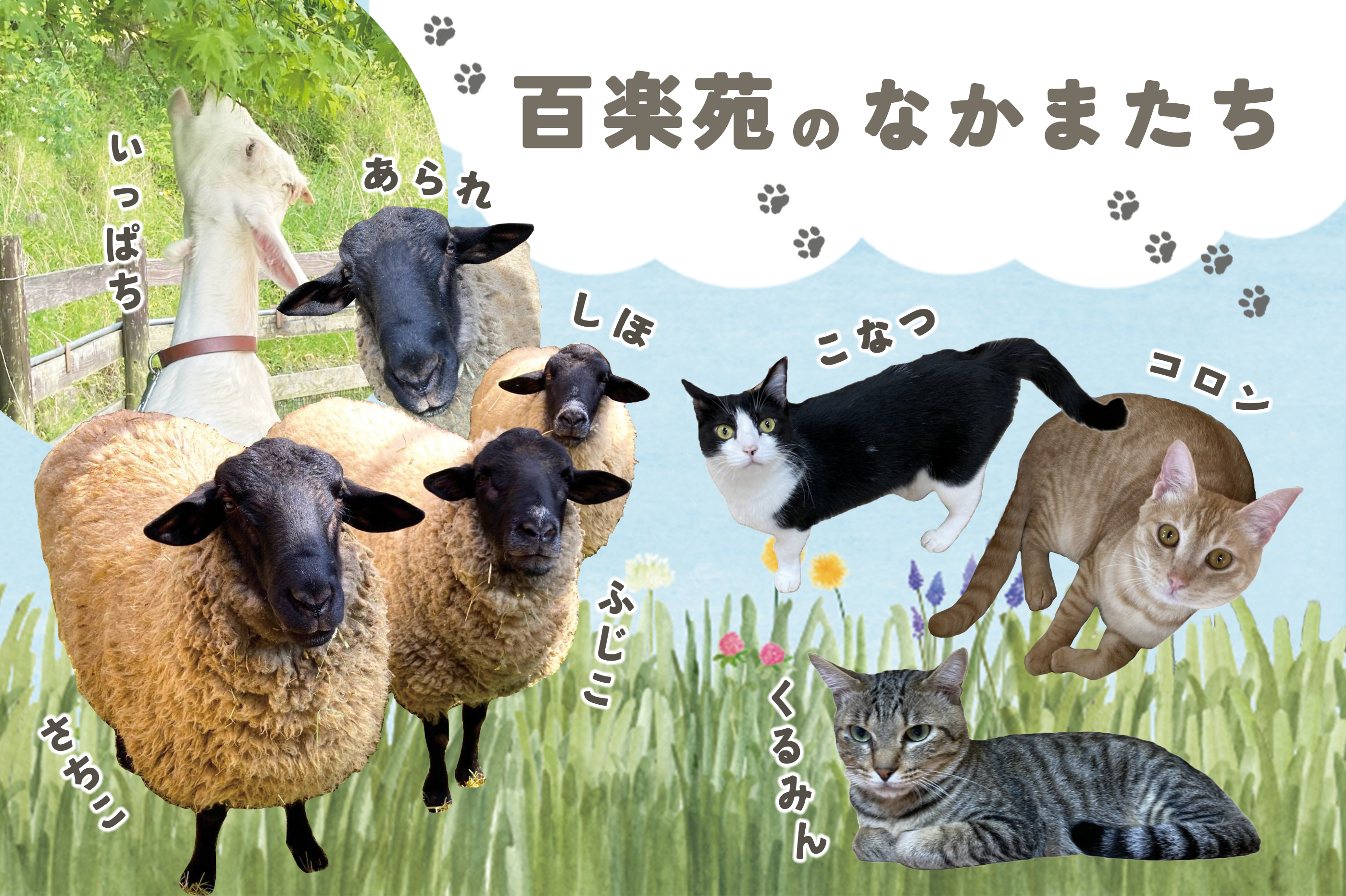 元気はつらつデイサービス 百楽苑